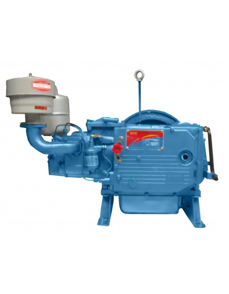 Diesel Engine  ZS 1110 GD (polos)